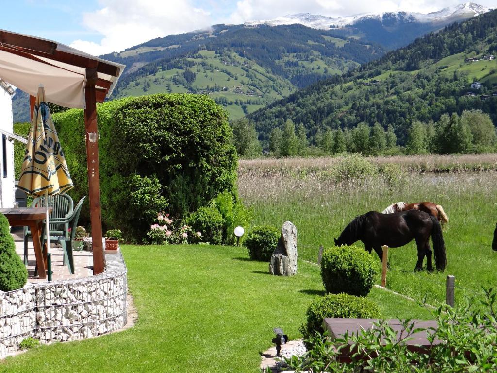 Appartement Plattner Zell am See Luaran gambar